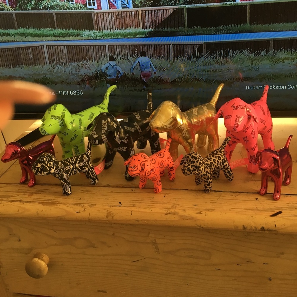 Lot of dogs selling together!