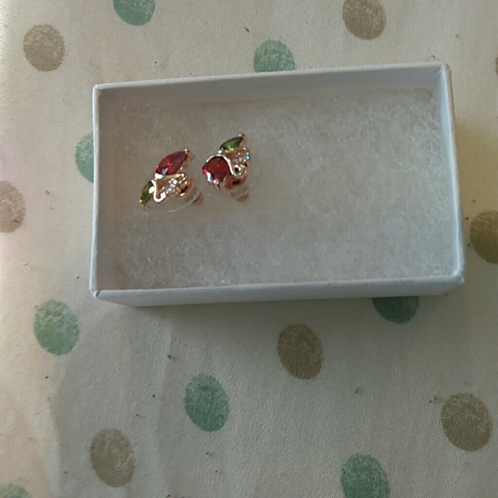 Women earrings