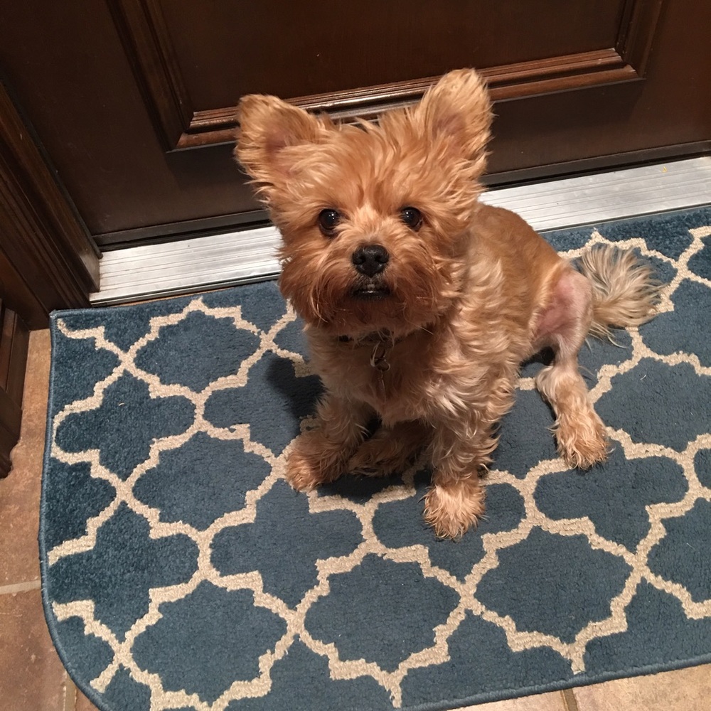 Meet your Posher, Nicole