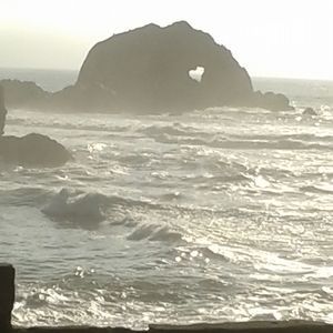 Meet your Posher, Audrey