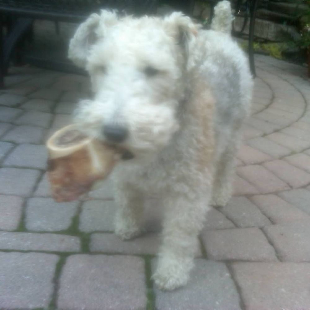 Meet your Posher, Myra bee