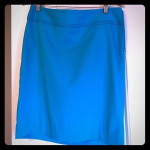 { t h e  l i m i t e d } blue skirt 10