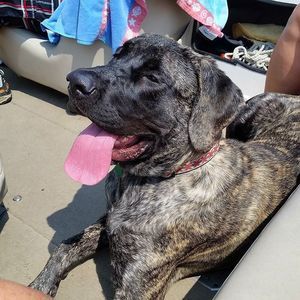 Meet your Posher, Nola