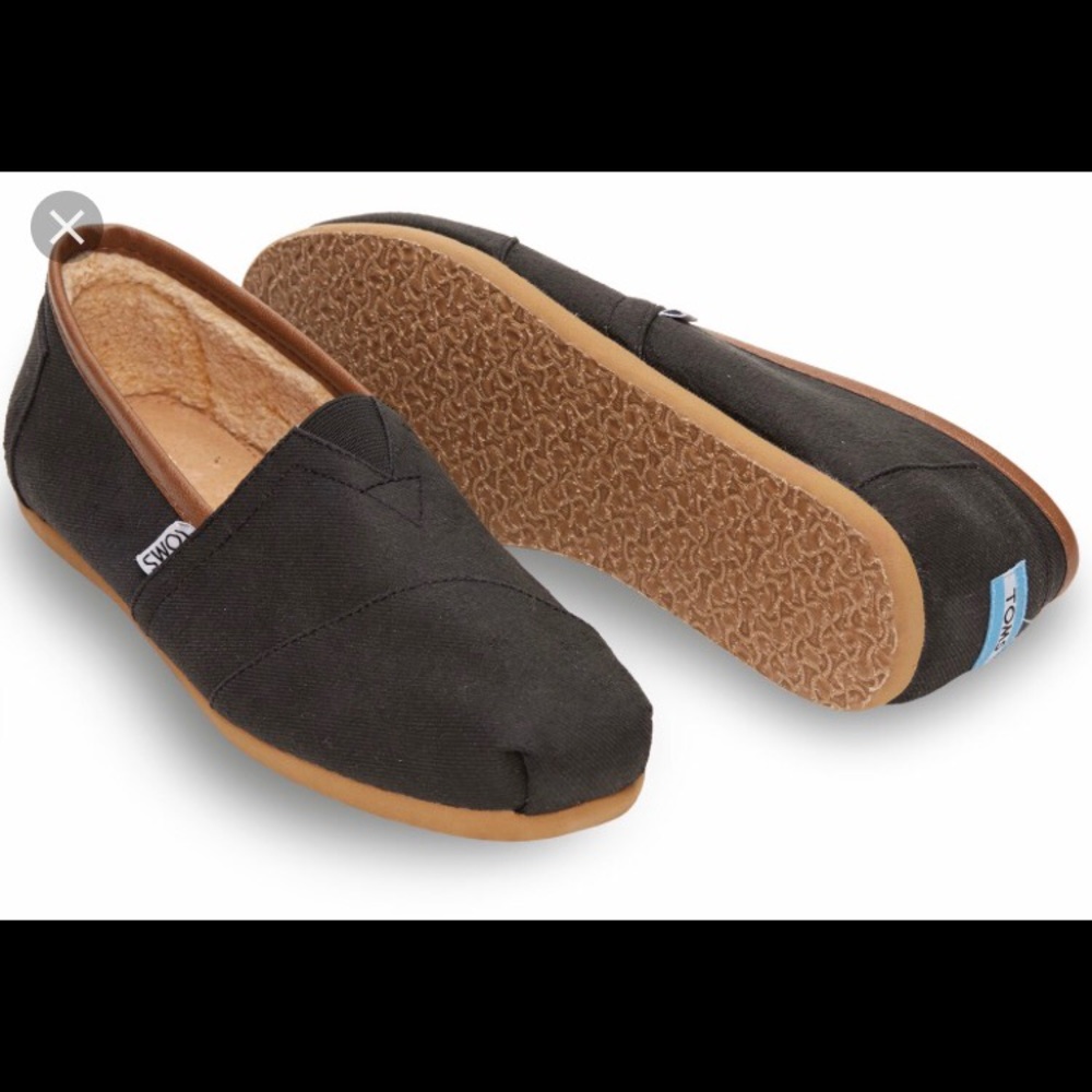 Toms classic black brn aviator twill