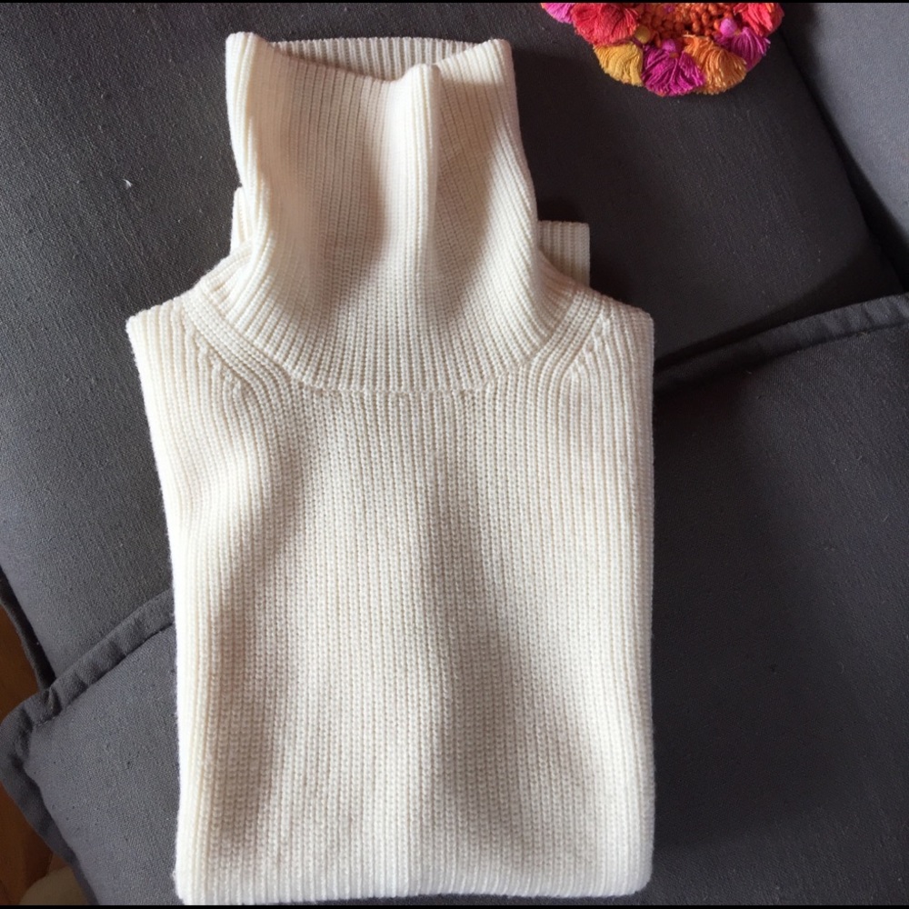 Everlane turtle neck sleeveless knit sweater