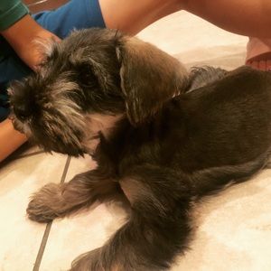 Meet your Posher, Joella