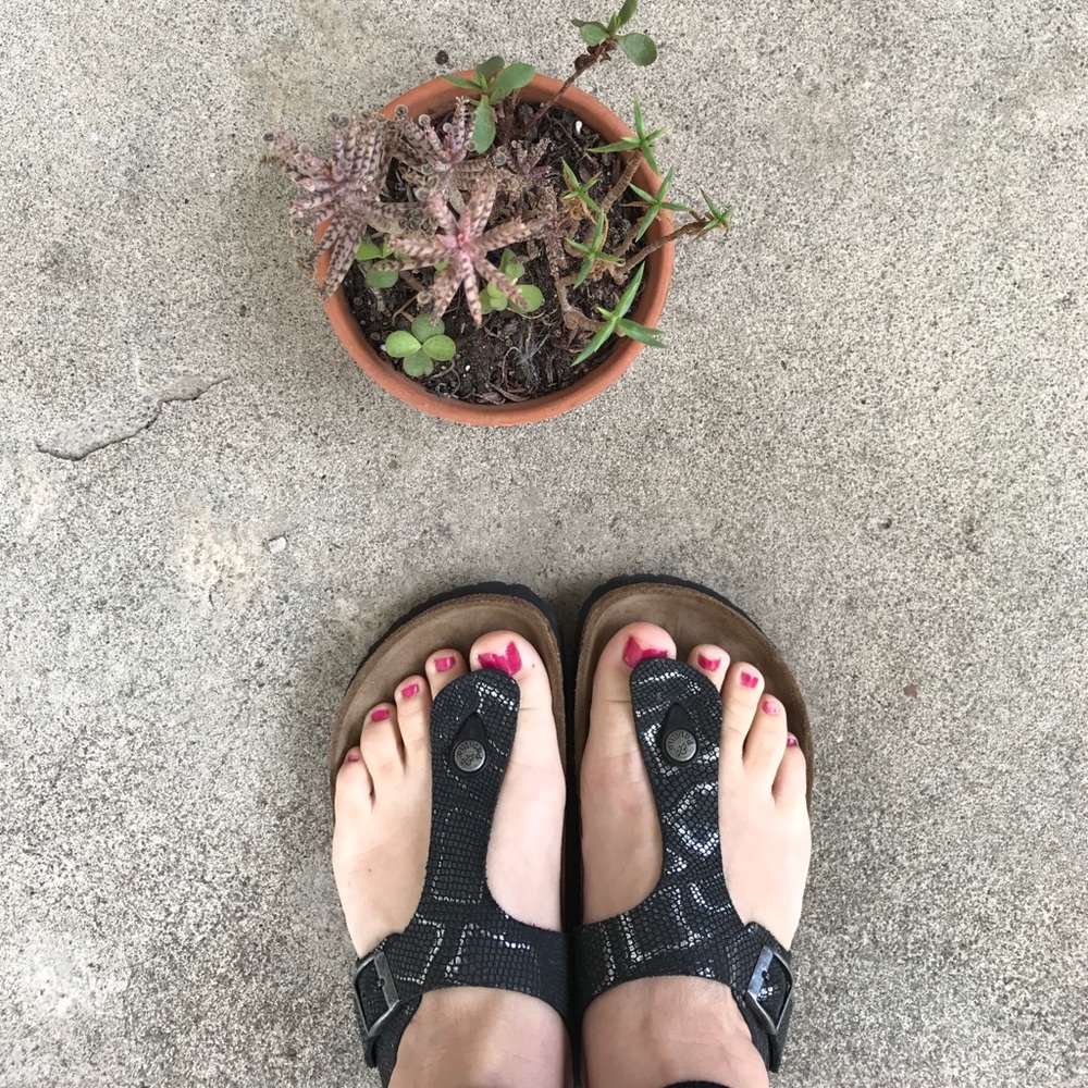 *FIRM* Birkenstock Papillio Gizeh Python LEATHER