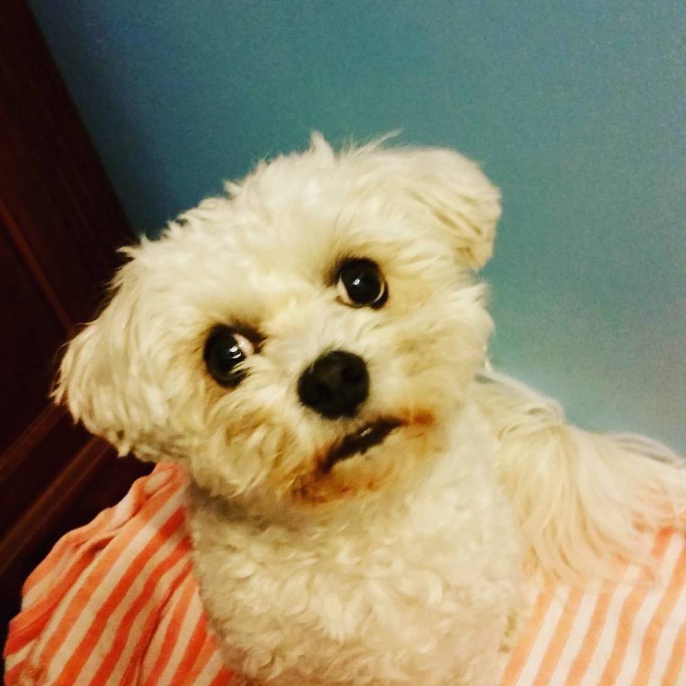 Meet your Posher, Paula