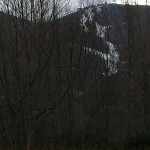 Meet your Posher, Bobby