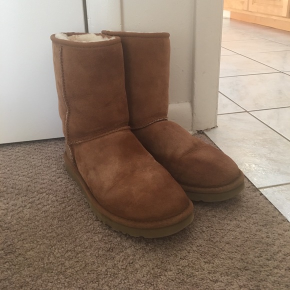 ugg sunburst ebay ugg sunburst ebay