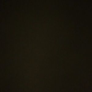 Meet your Posher, Oscar