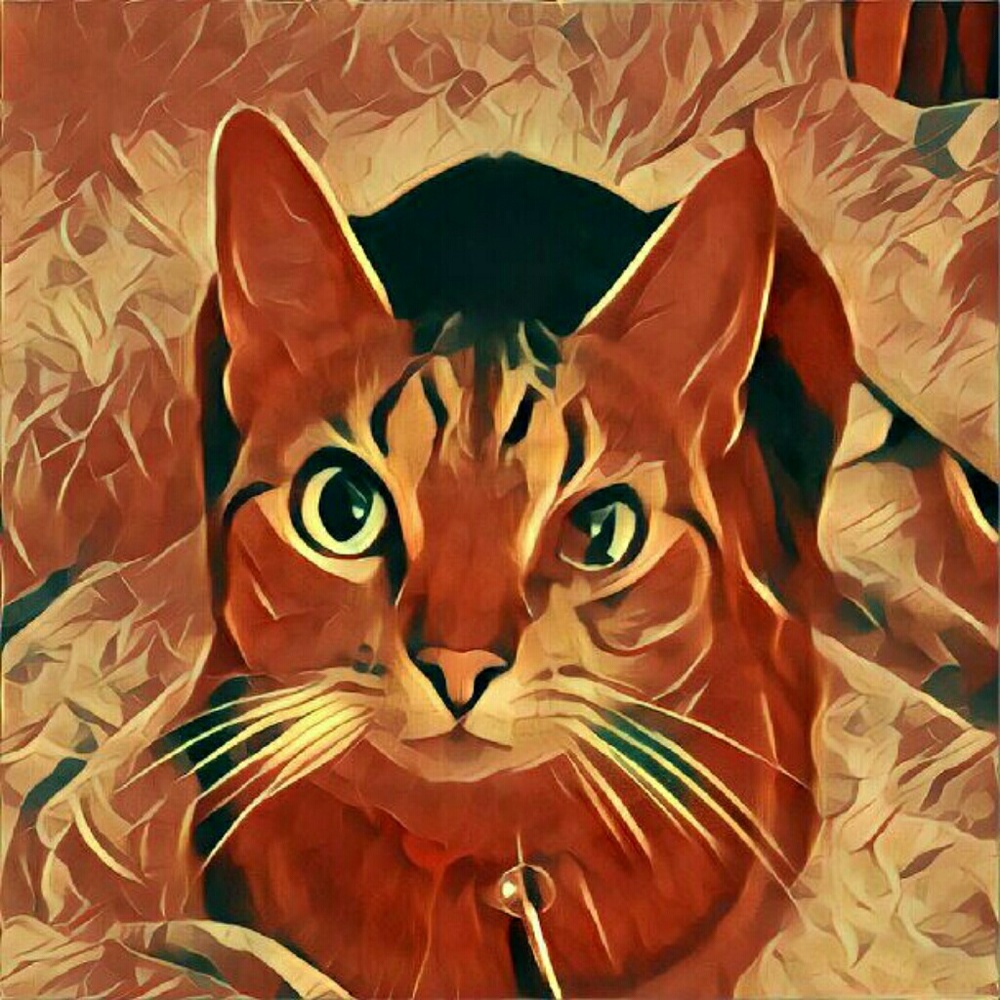 Meet your Posher, Kimberly