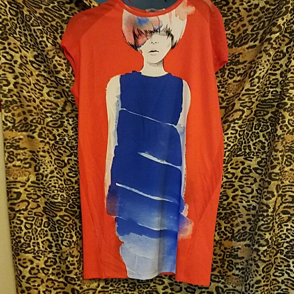 Zara Top or mini dress