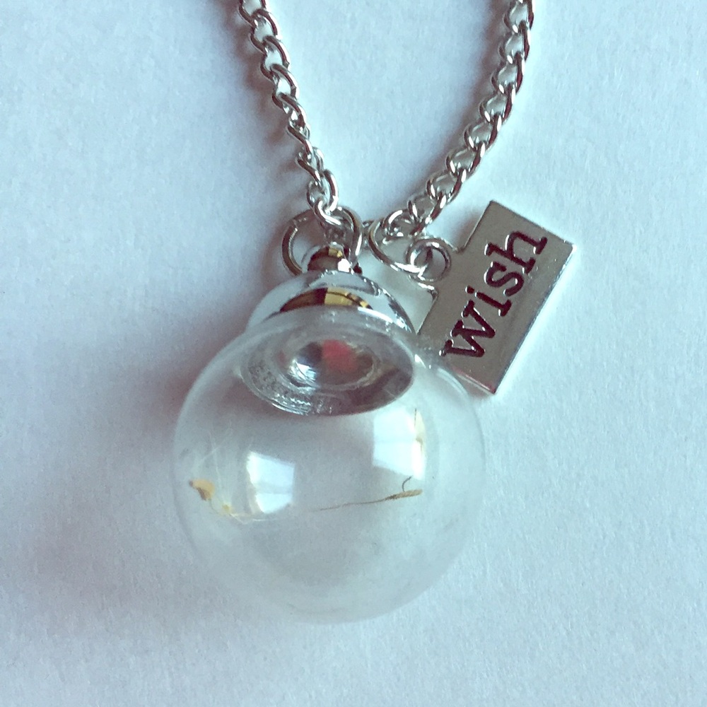 NWT Wish Silver Necklace Globe Charm