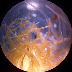 Meet your Posher, Mikayla