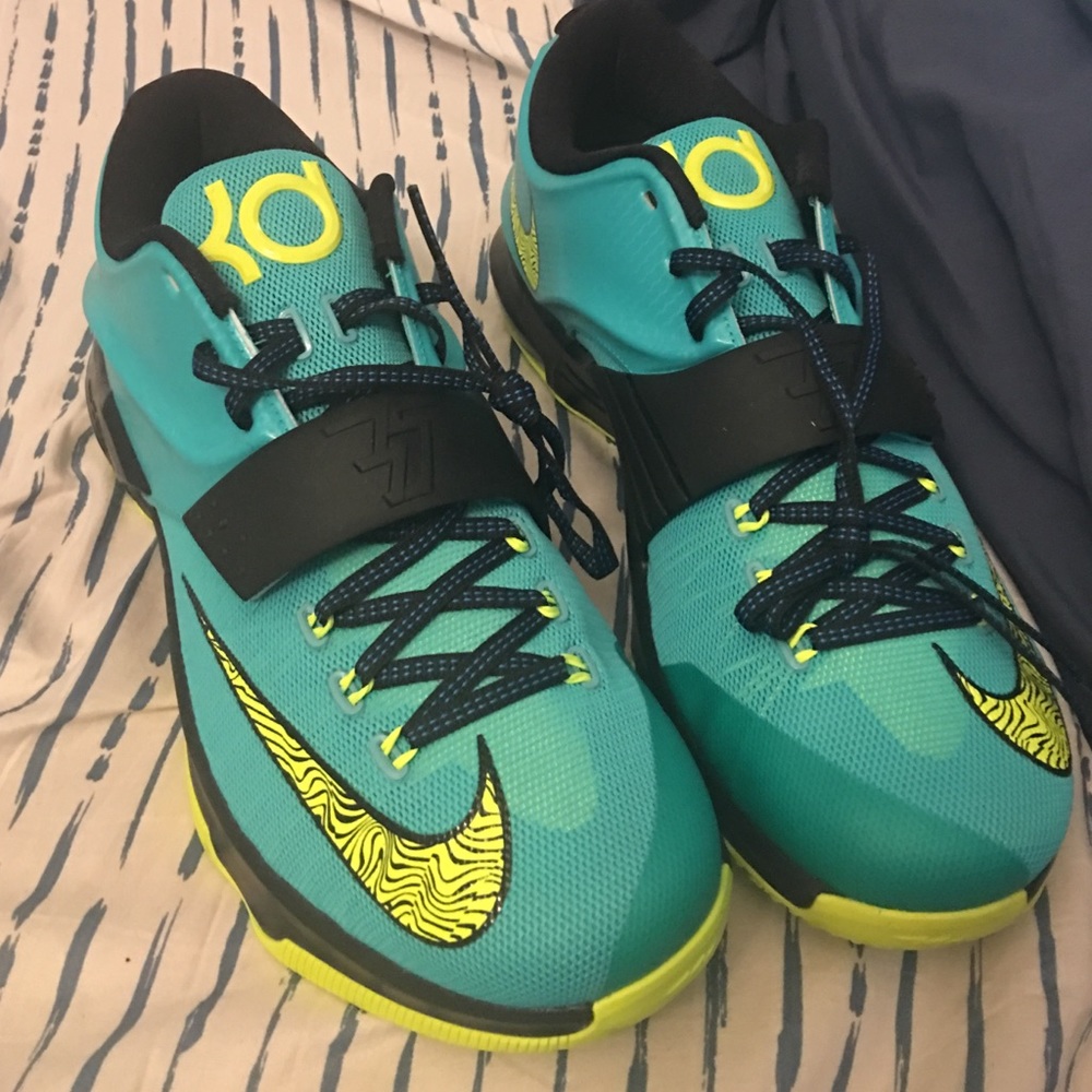 KD 7's