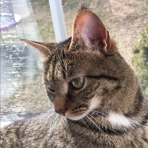 Meet your Posher, Jen - Picture 2 of 2