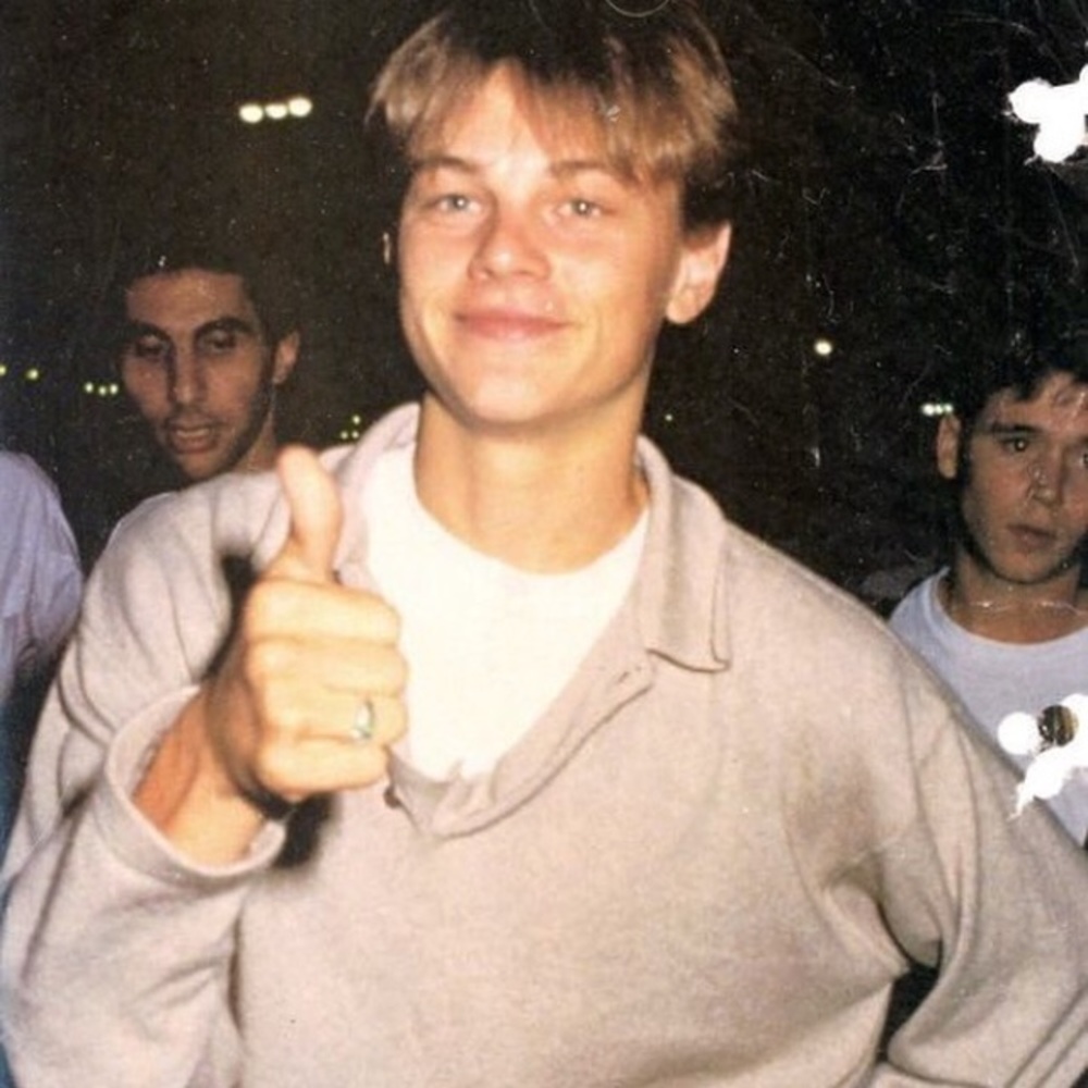 Meet your Posher, Molly