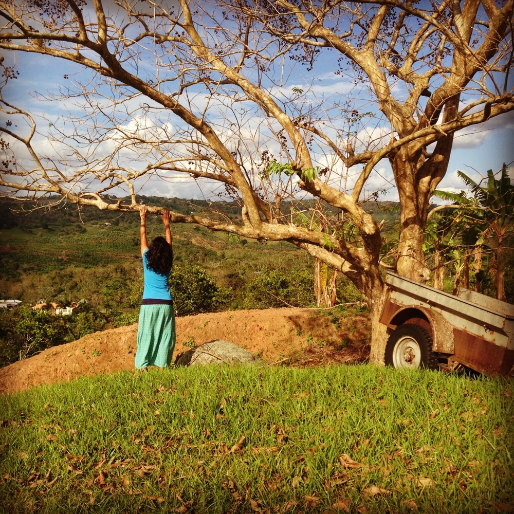 Meet your Posher, Lenys