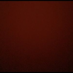 Meet your Posher, Hayley