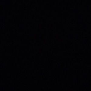 Meet your Posher, Dustin