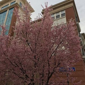 Meet your Posher, Mari