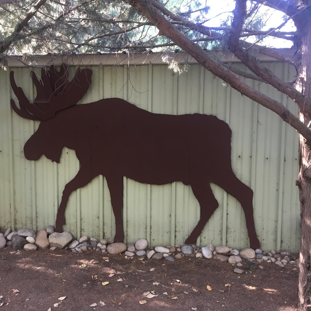 Meet your Posher, Zim