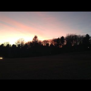 Meet your Posher, Gavin