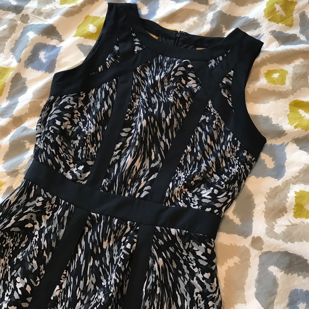 Banana Republic Fit and Flare Dress