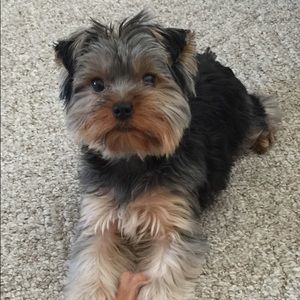 Meet your Posher, Tina