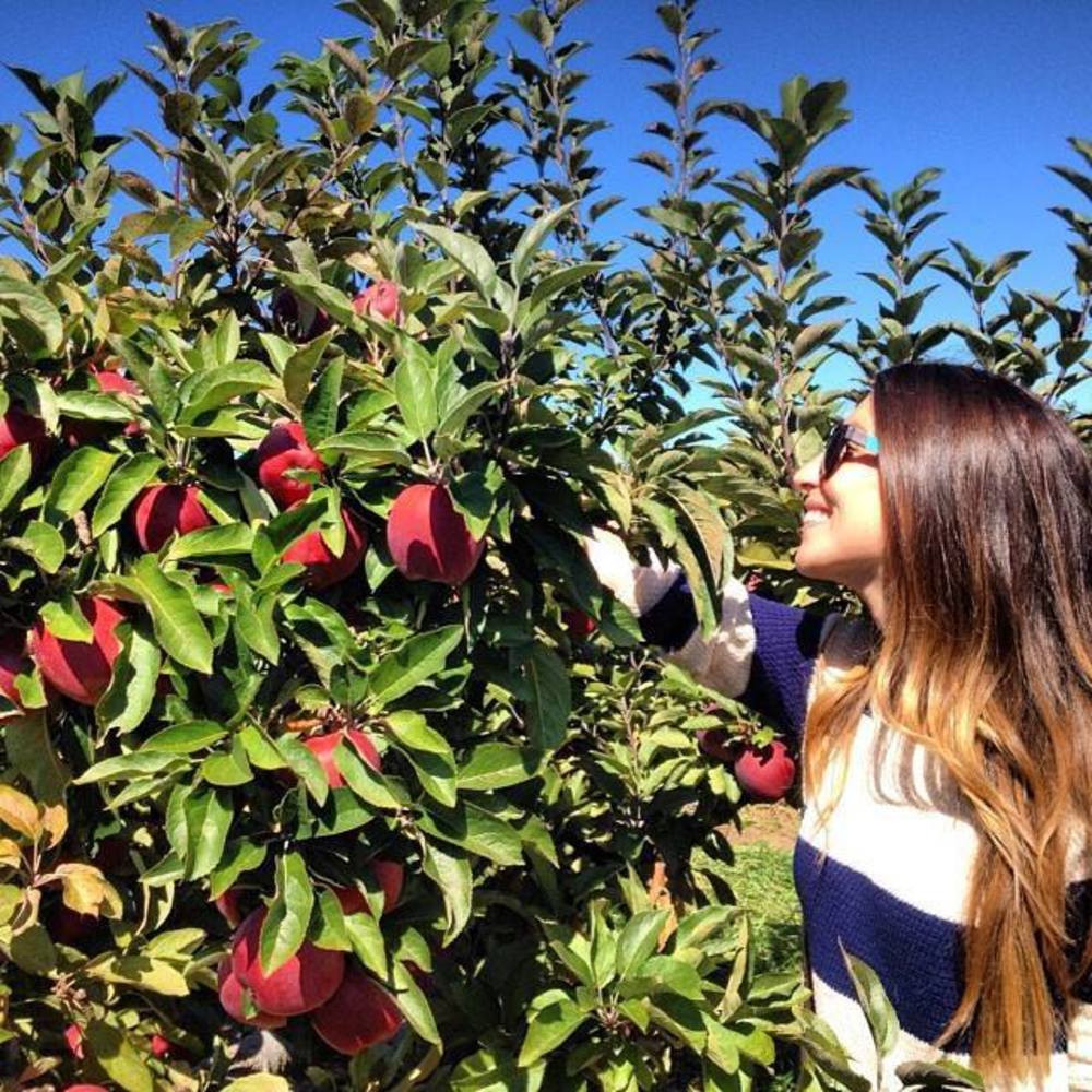 Meet your Posher, Jessica