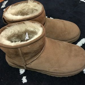 Uggs chestnut boots (shorter shaft)
