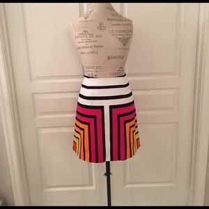 Color Block Skirt