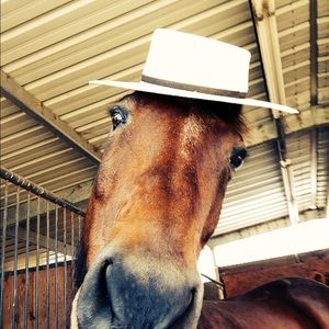 Meet your Posher, Morgan