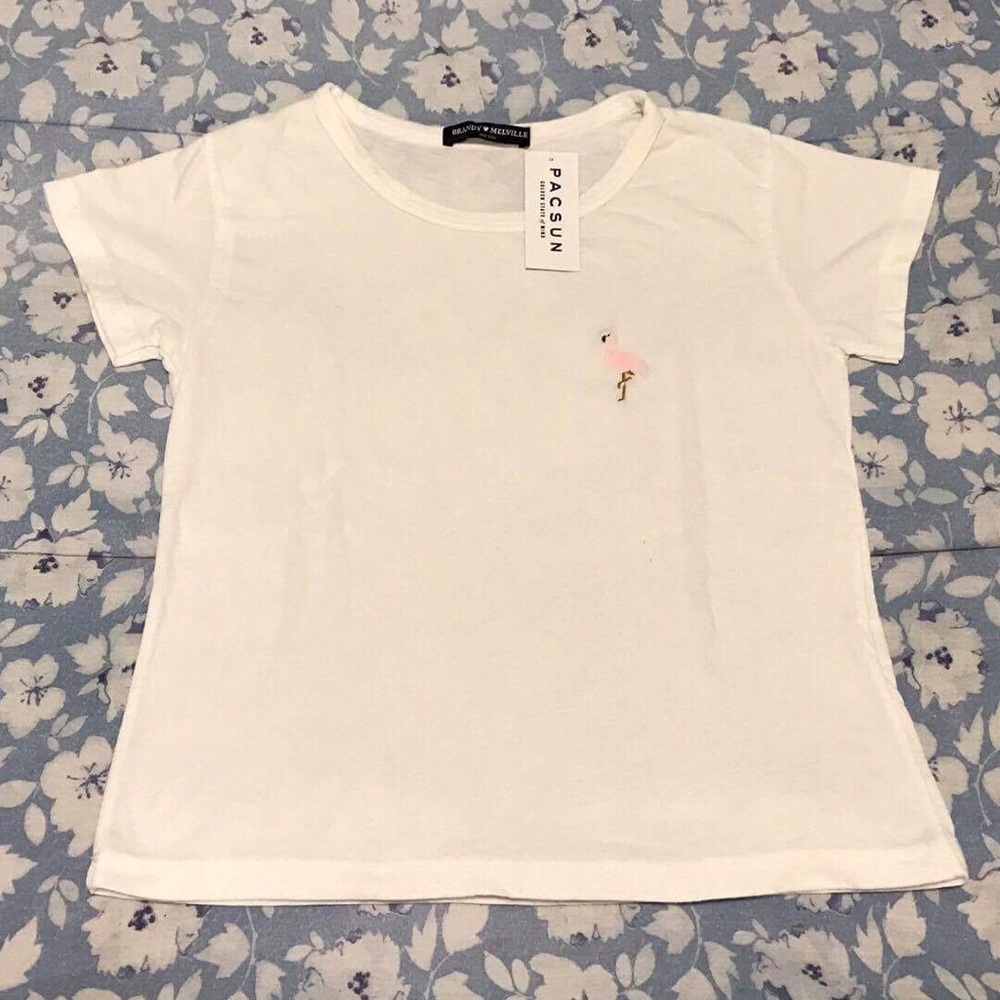 Brandy Melville Flamingo Top