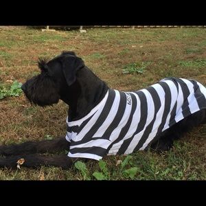 Meet your Posher, Cary