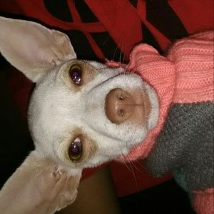 Meet your Posher, Ana