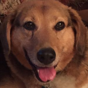 Meet your Posher, Linda