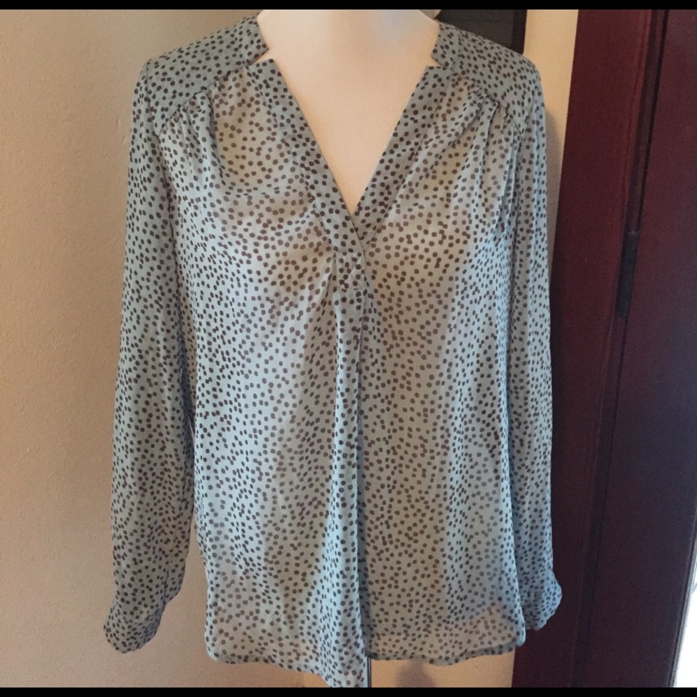 Nice blouse, EUC. Pleione size L. Blue and brown