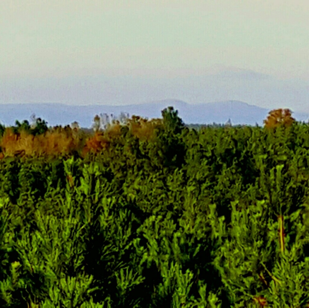 Meet your Posher, Teresa