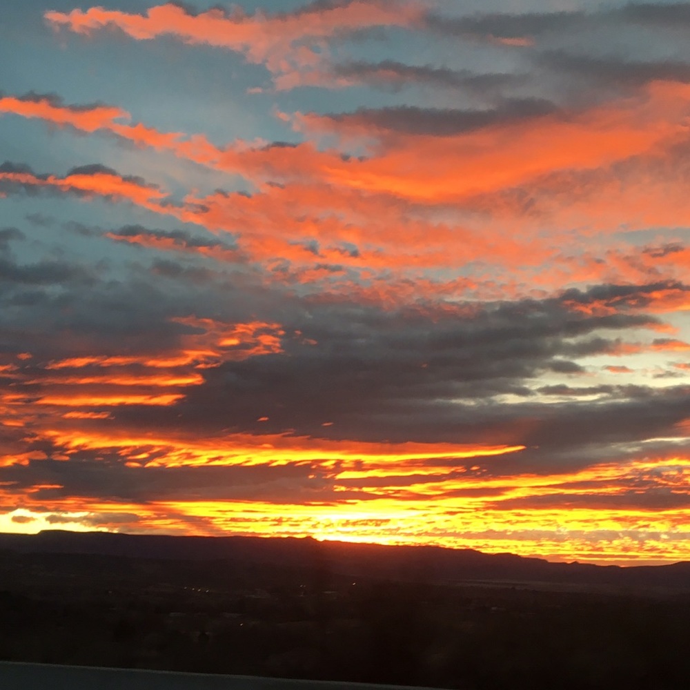 Meet your Posher, Hailey