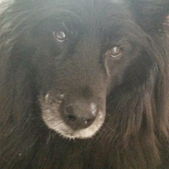 Meet your Posher, Paula - Picture 1 of 1