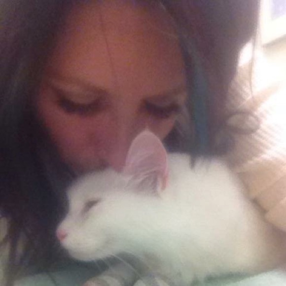 Meet your Posher, Julie & miss Quee patootie - Picture 2 of 4