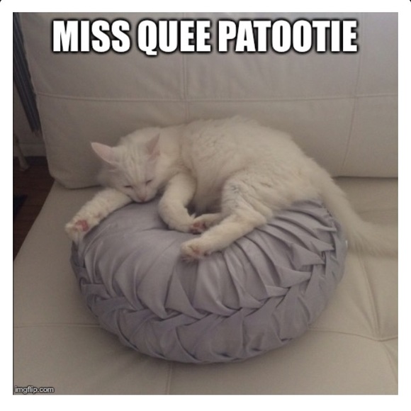 Meet your Posher, Julie & miss Quee patootie - Picture 3 of 4