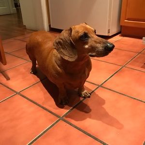 Meet your Posher, Antuan