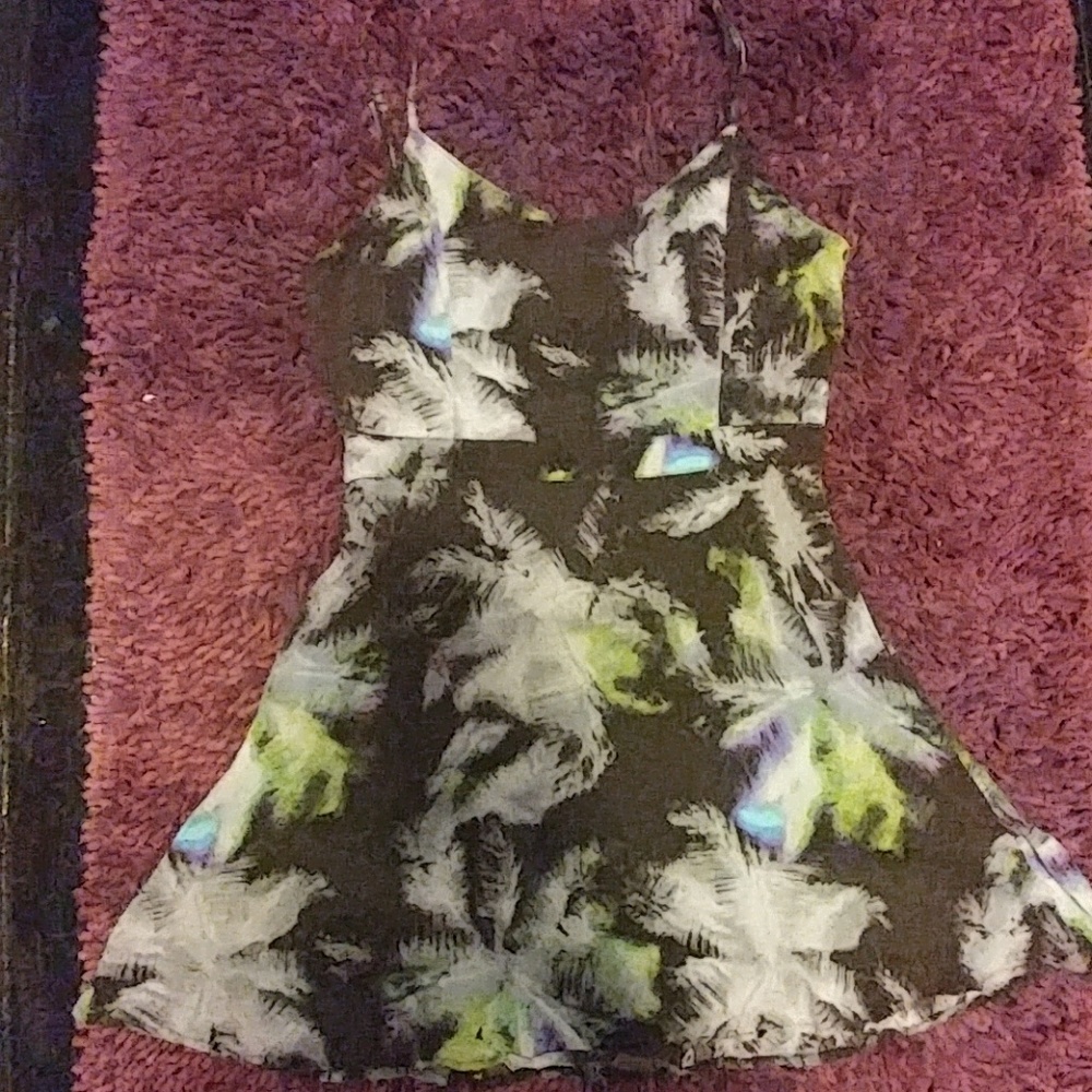 A Line Skater Dress