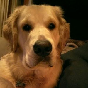 Meet your Posher, Leanne