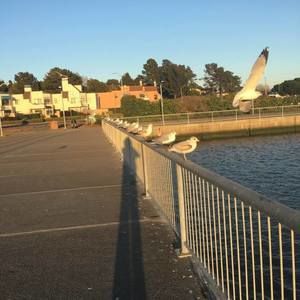 Meet your Posher, Maureen