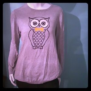 Old Navy Gray Owl Intarsia Sweater Size Large