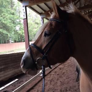 Meet your Posher, Erica